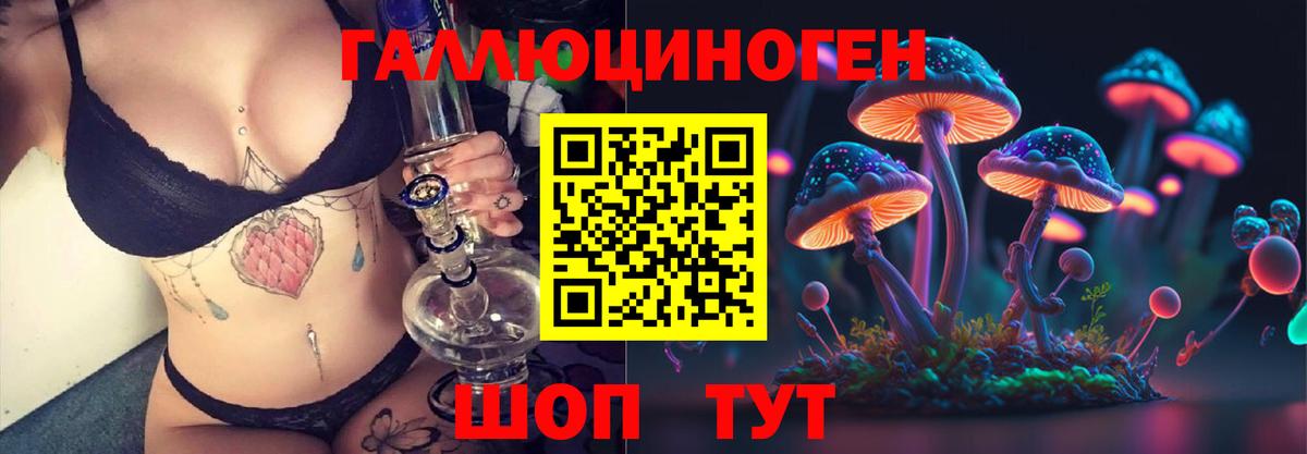 Усть-Джегута  Псилоцибиновые грибы мицелий  дарнет шоп  Вход с VPN  Галлюциногенные грибы Psilocybine cubensis 