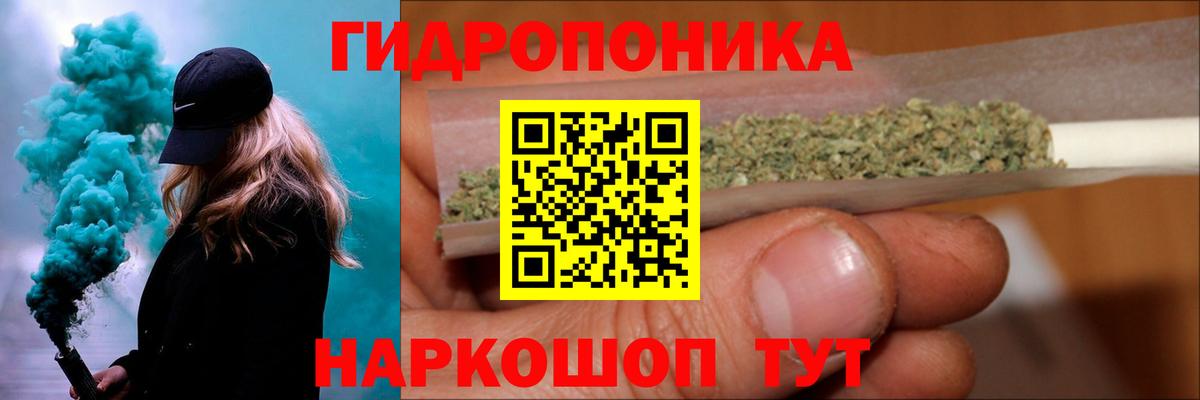 Конопля сатива Усть-Джегута
